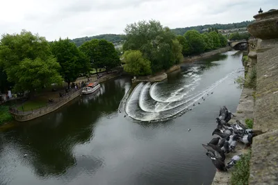 DSC_2557 (Large).JPG